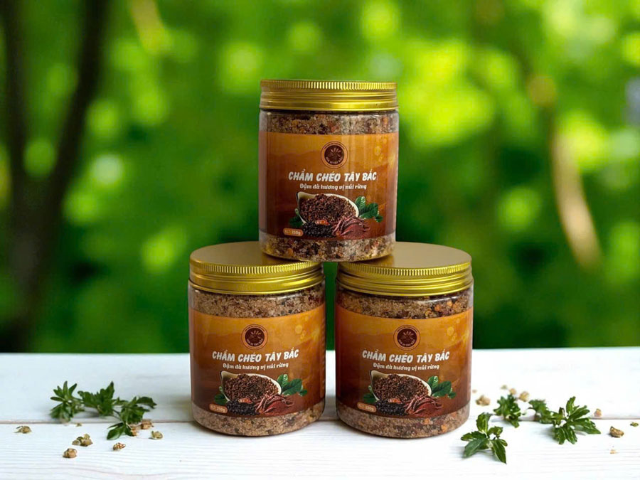 Chẩm chéo chuẩn vị Tây Bắc