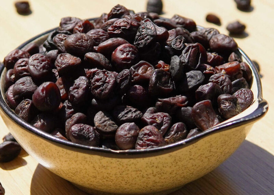 Hạt dổi Tây Bắc