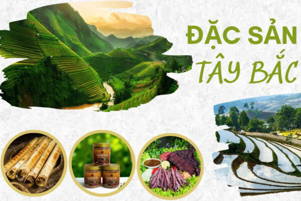 Top 6 Đặc Sản Tây Bắc